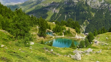 A picturesque alpine landscape featuring a serene, turquoise-colored lake surrounded by lush, green trees and rugged rocky terrain. Winding trails lead through the scene, with the backdrop of towering, forested mountains. A few people can be seen enjoying the natural beauty, engaging in activities such as hiking and resting.