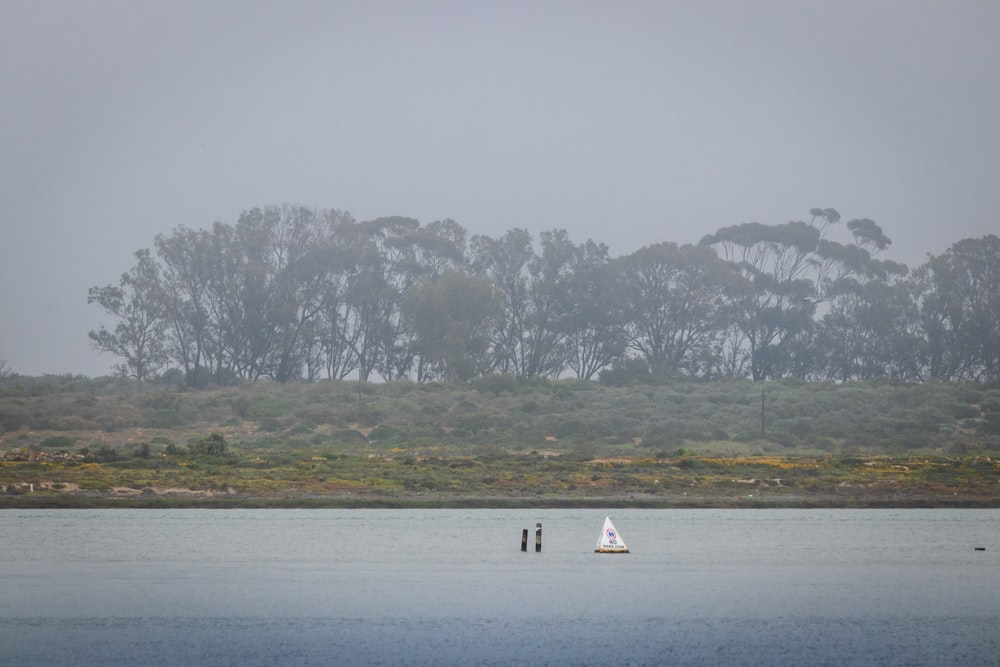 weißes Boot auf einem Gewässer in der Nähe von Green Grass Field tagsüber