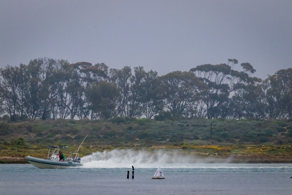 Bateau blanc et noir sur la mer près des arbres verts pendant la journée