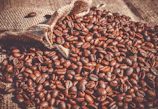 brown coffee beans on brown sand