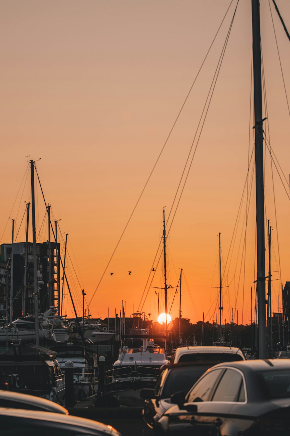 cars parked on parking lot during sunset