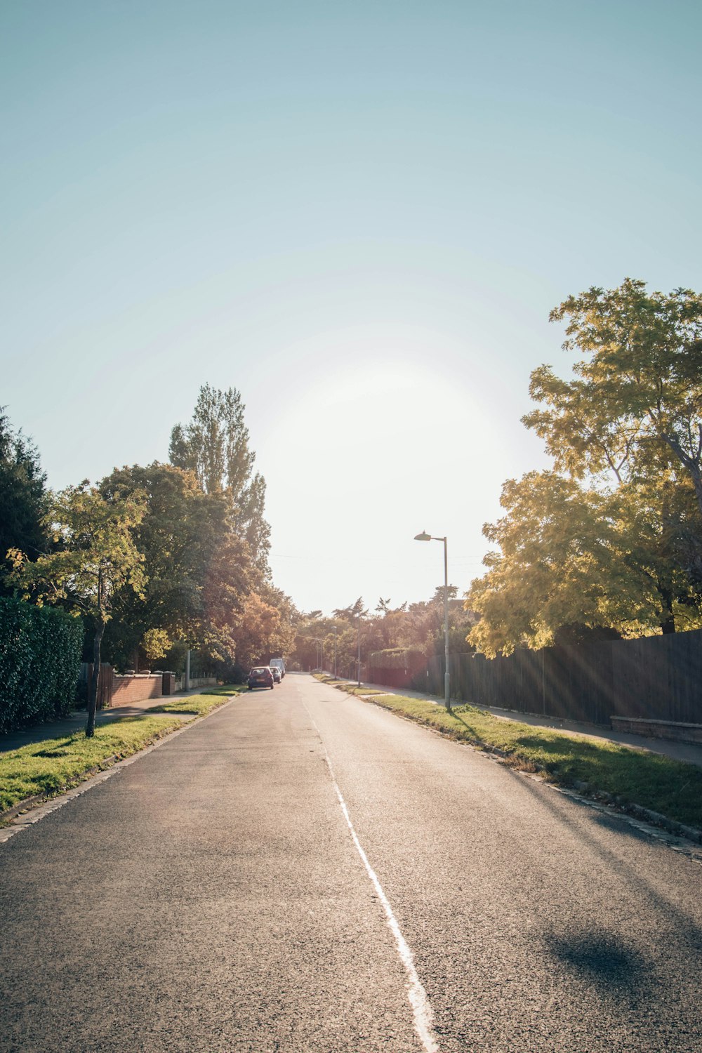 gray concrete road between green trees during daytime