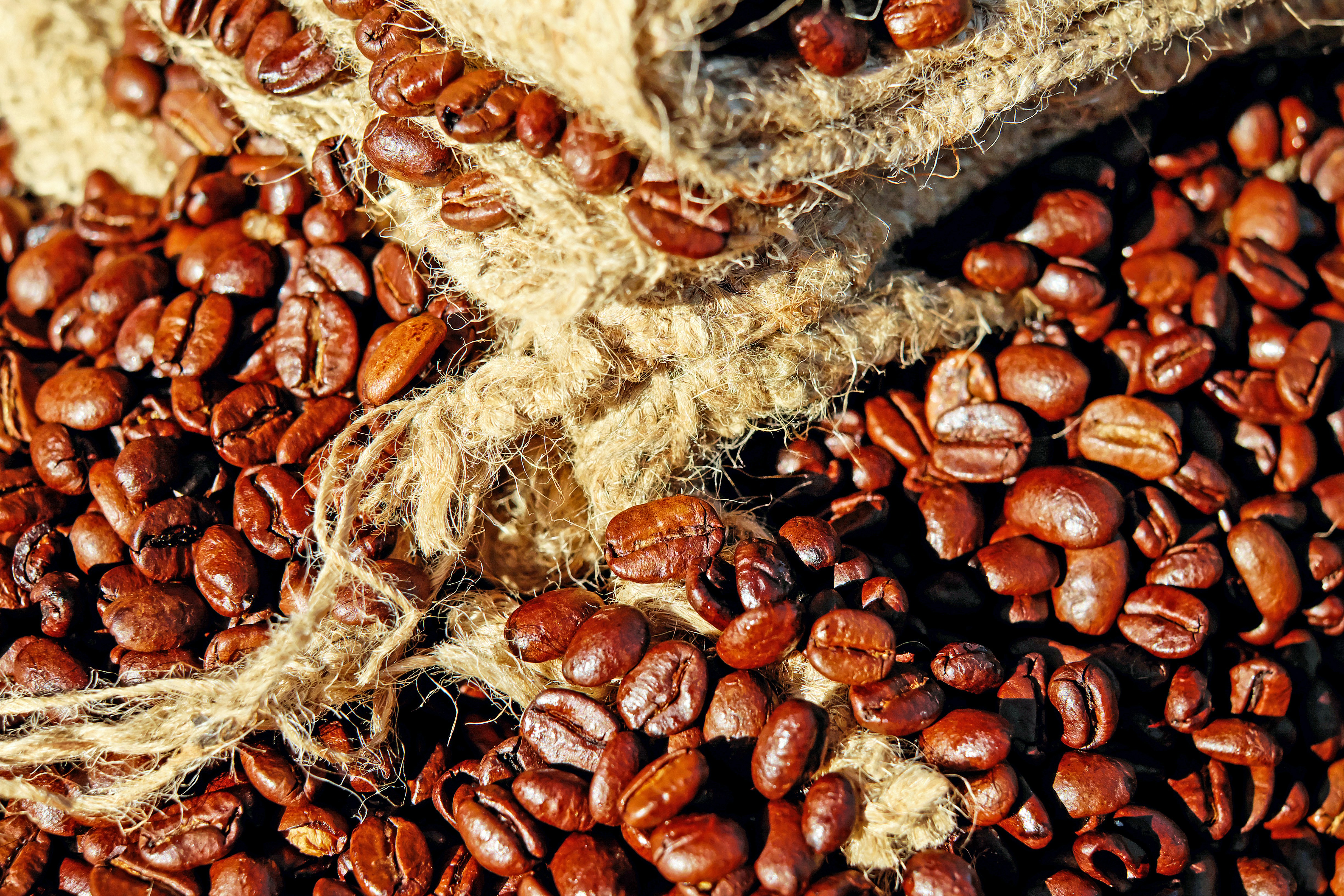 10 Roasts Specialty Coffee Regions Compared by Climate
