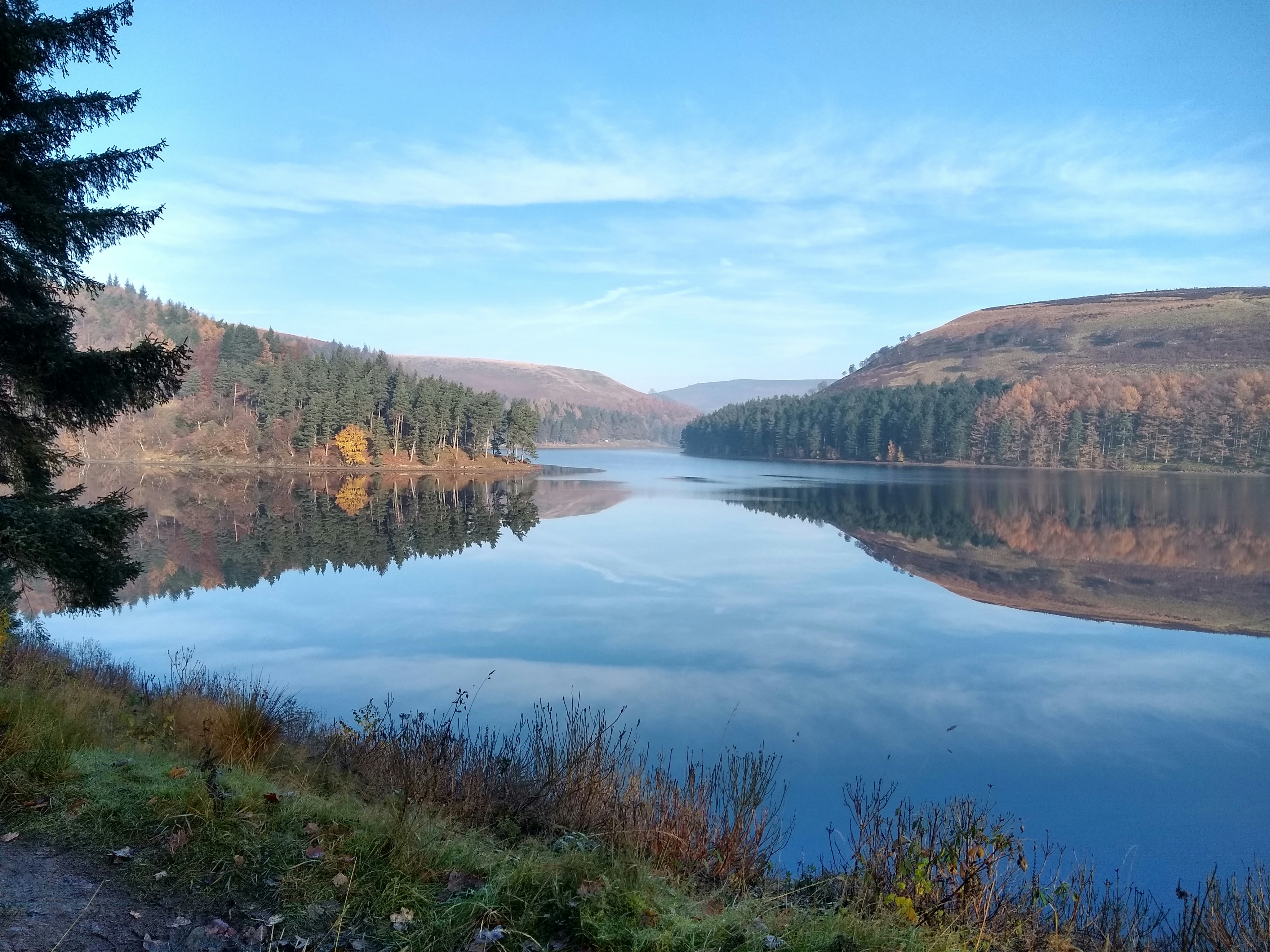 Photo by robpumphrey