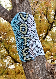 blue and white knit textile on brown tree trunk