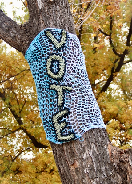 blue and white knit textile on brown tree trunk