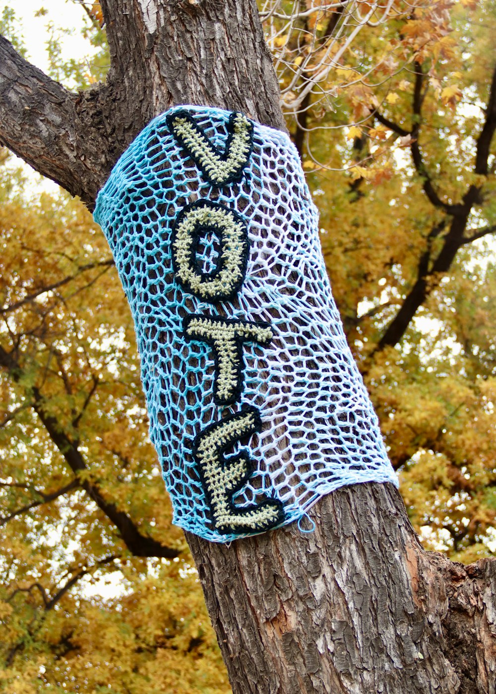 blue and white knit textile on brown tree trunk