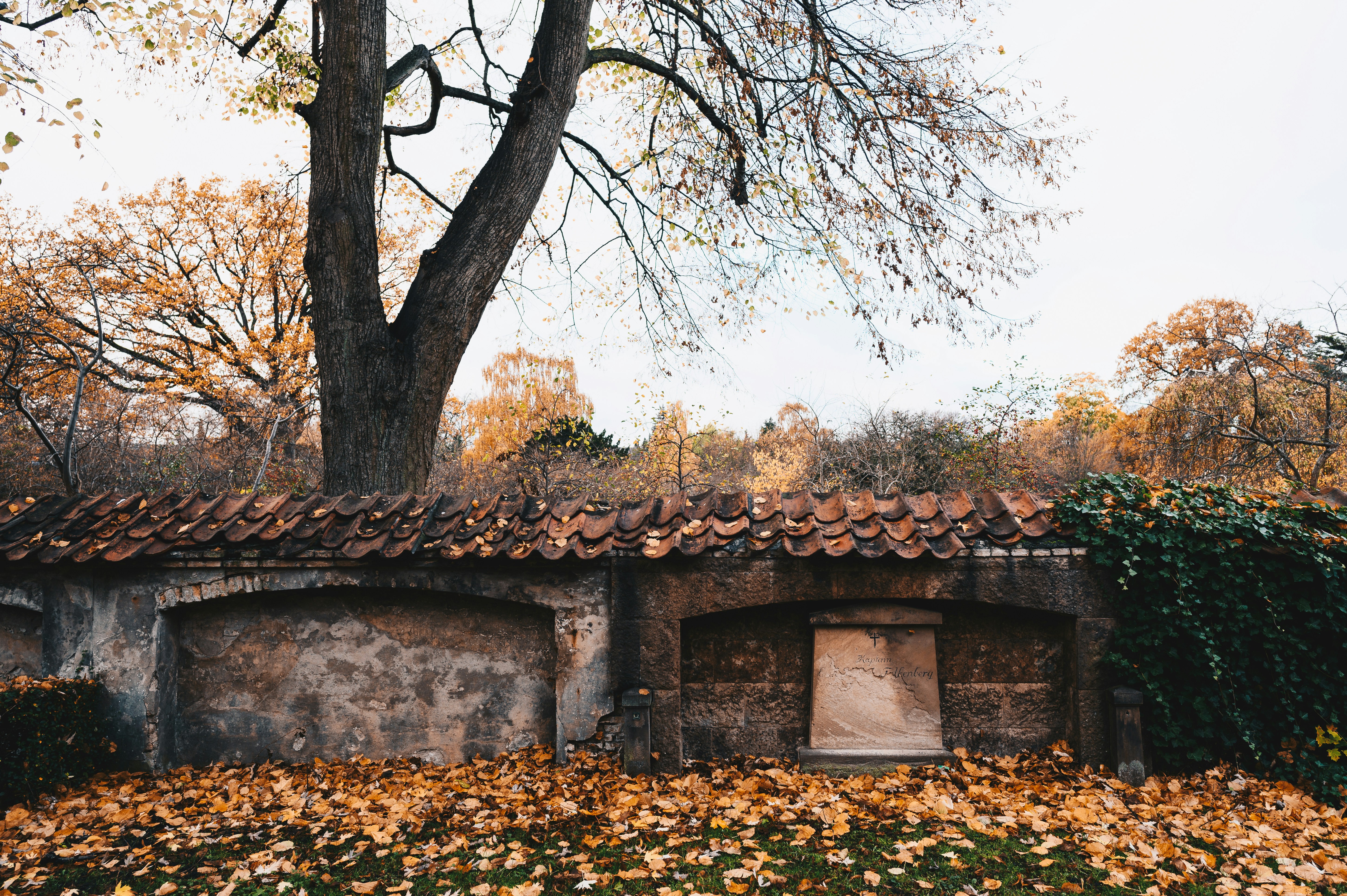casa de tijolo marrom perto de árvores durante o dia