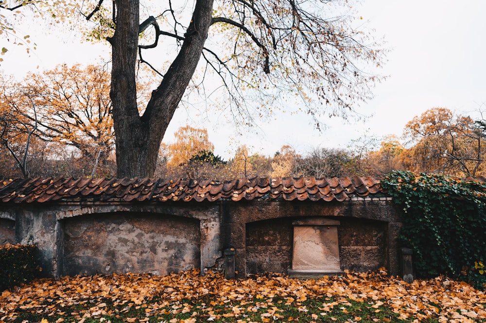 brown brick house near trees during daytime