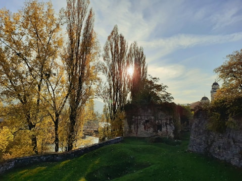 A serene landscape featuring tall, golden-leaved trees alongside ancient stone ruins. The sunlight filters through the trees, casting soft shadows on the lush green grass below. In the background, a dome-topped building rises above the horizon under a partly cloudy sky.