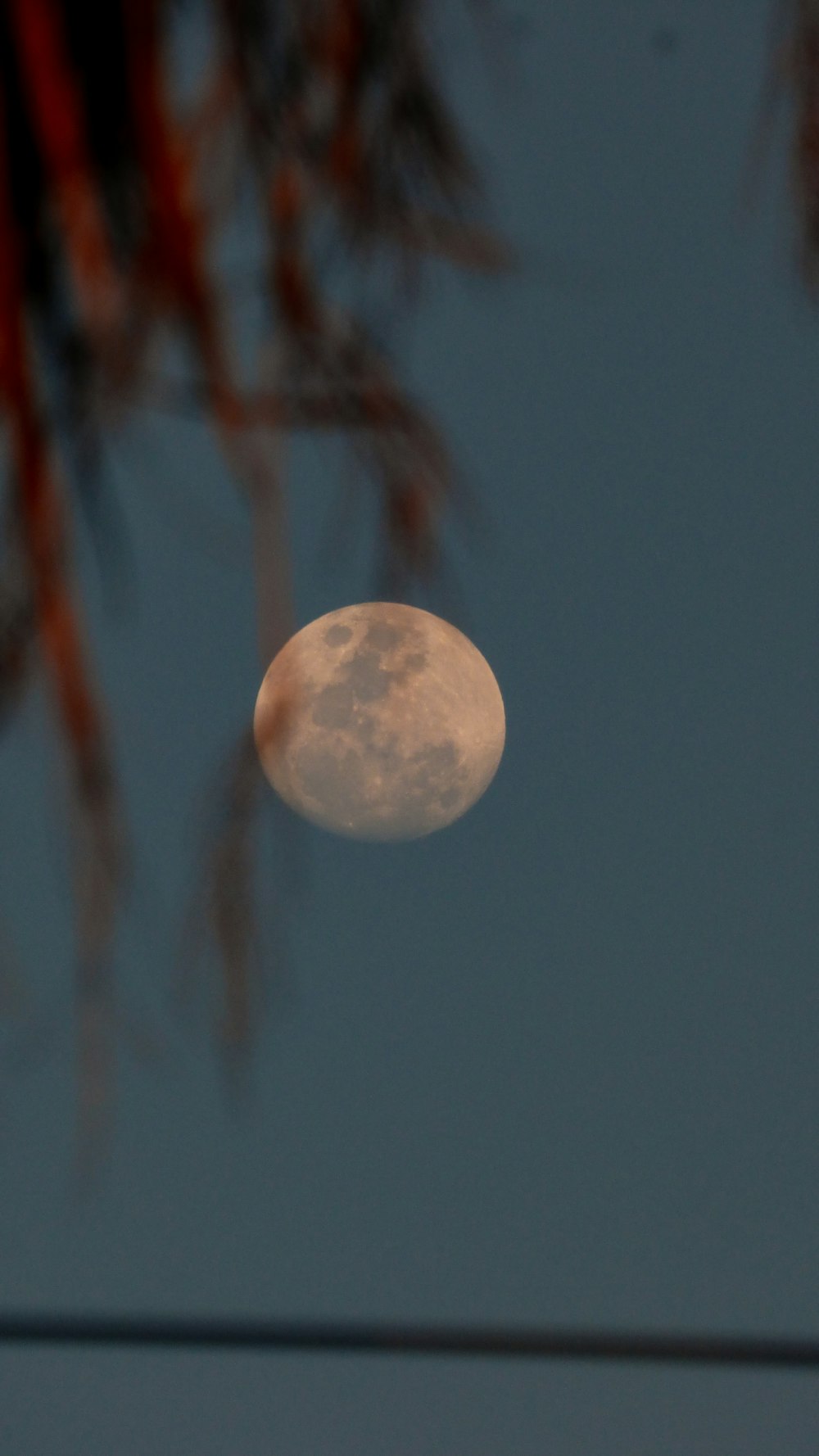 full moon in the sky