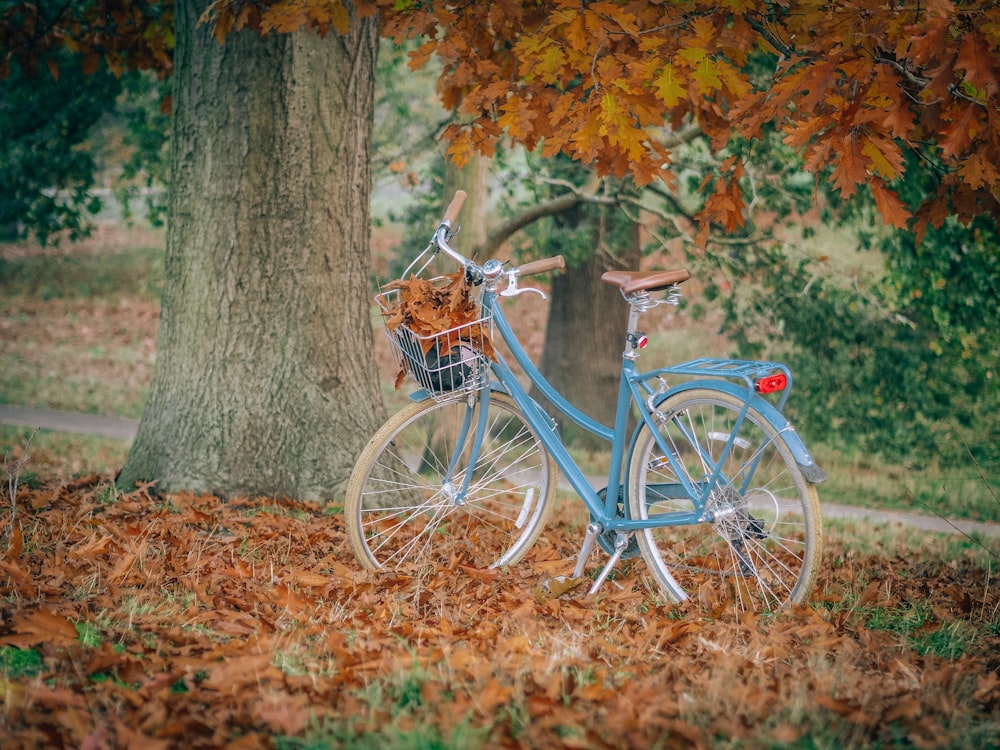 blue city bike beside brown tree trunk