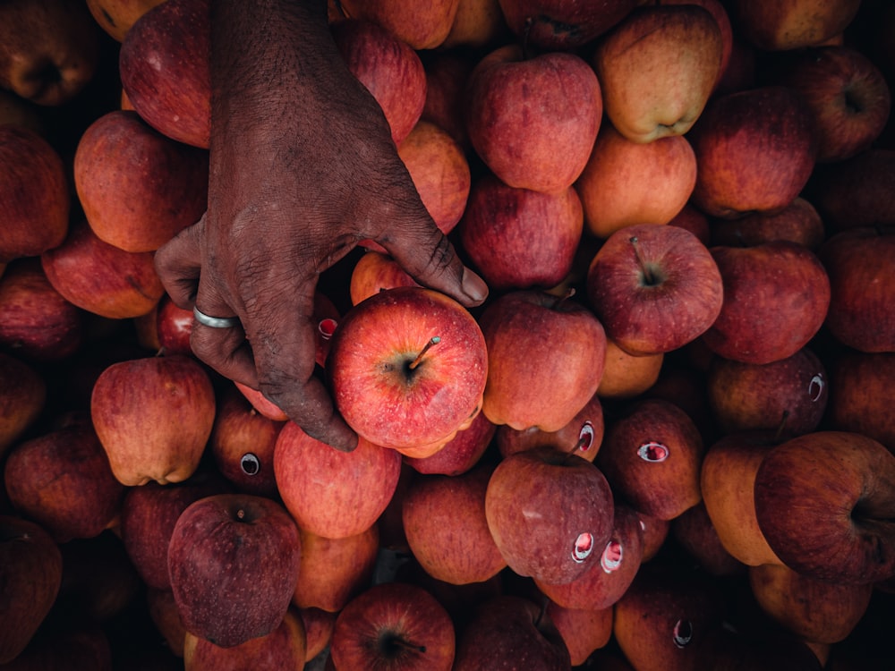 red apple fruits on brown wooden table