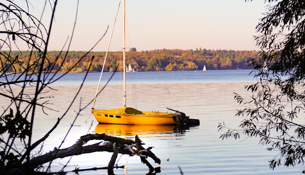 yellow and white boat on water during daytime