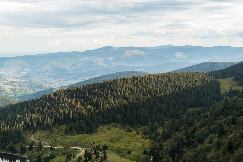 green trees on mountain under white clouds during daytime