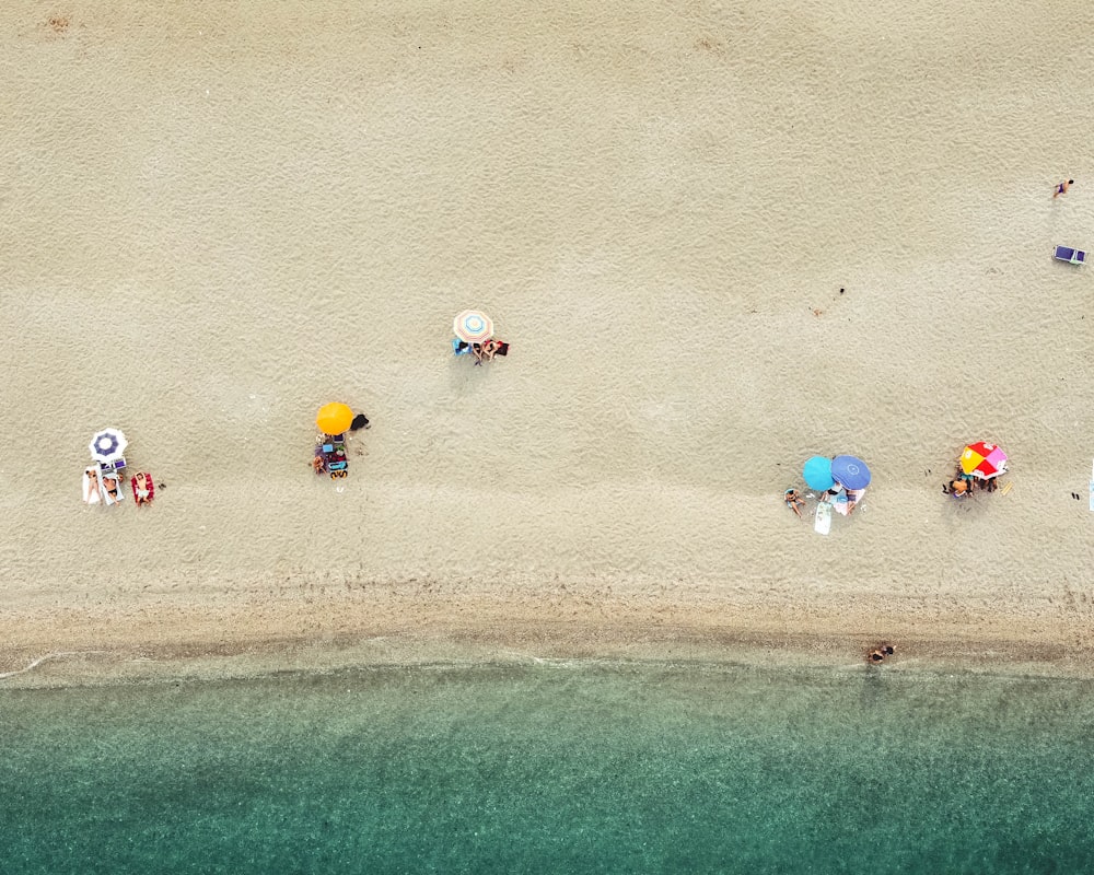 people on beach during daytime