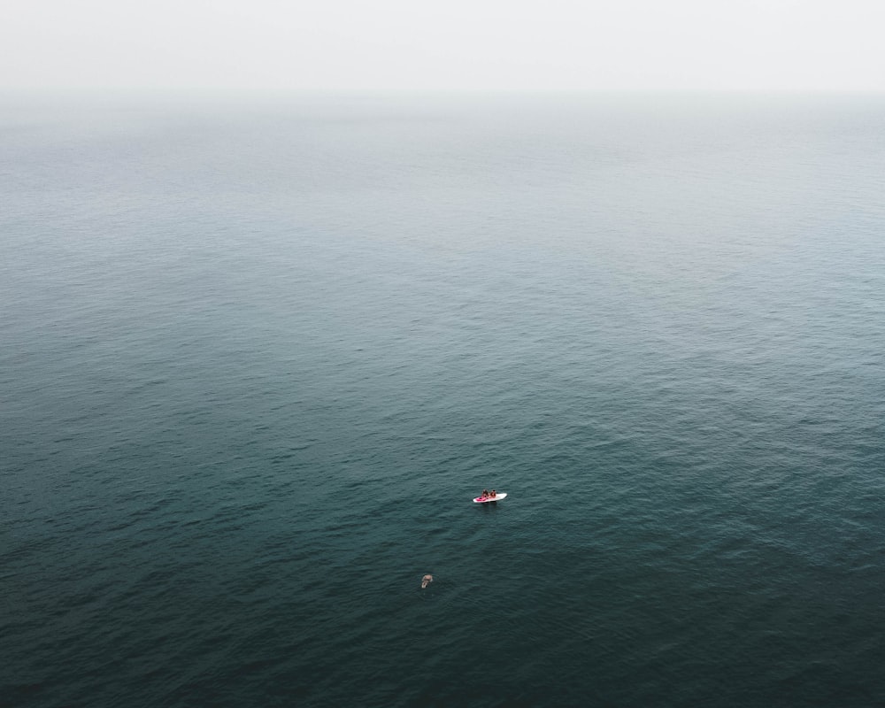 aerial view of boat on sea during daytime