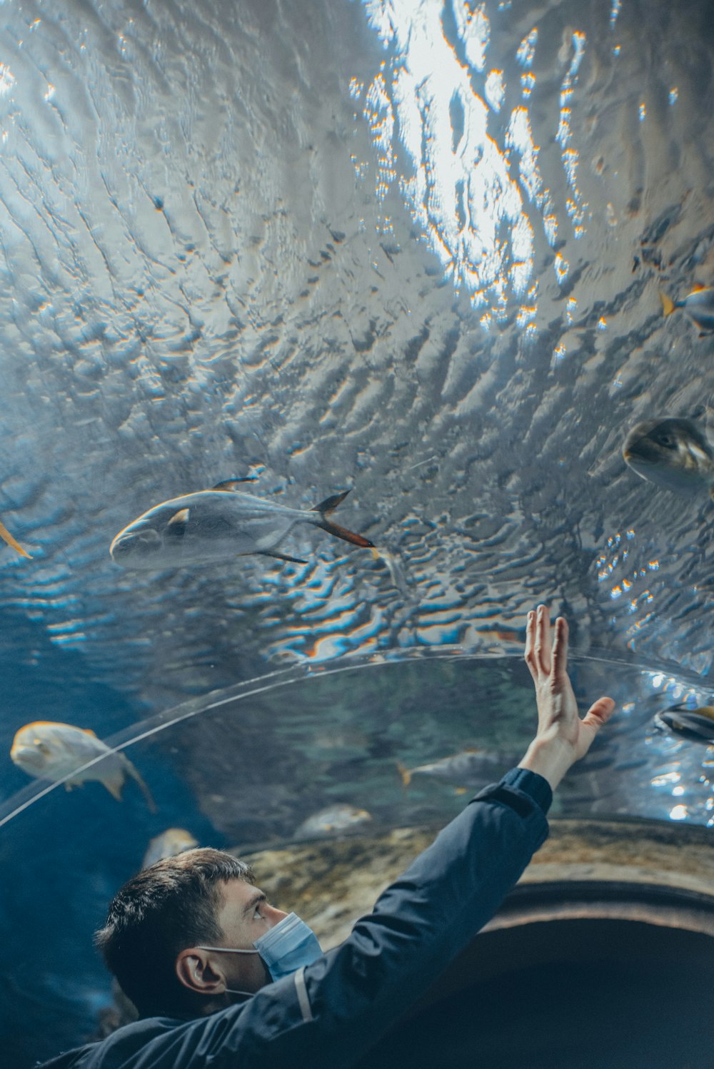 person in black pants standing on clear glass aquarium