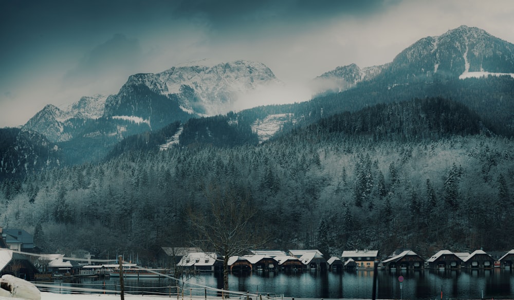 arbres verts près du lac et de la montagne pendant la journée