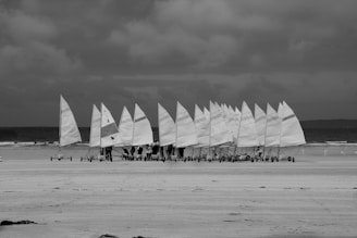 A group of land yachts with tall sails are lined up on a sandy beach under a cloudy sky. The ocean is visible in the background, with gentle waves rolling onto the shore. Seagulls are scattered around the area, adding to the coastal atmosphere.