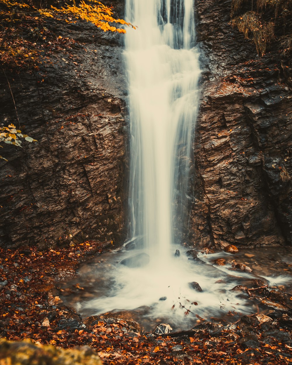 water falls in the middle of the forest