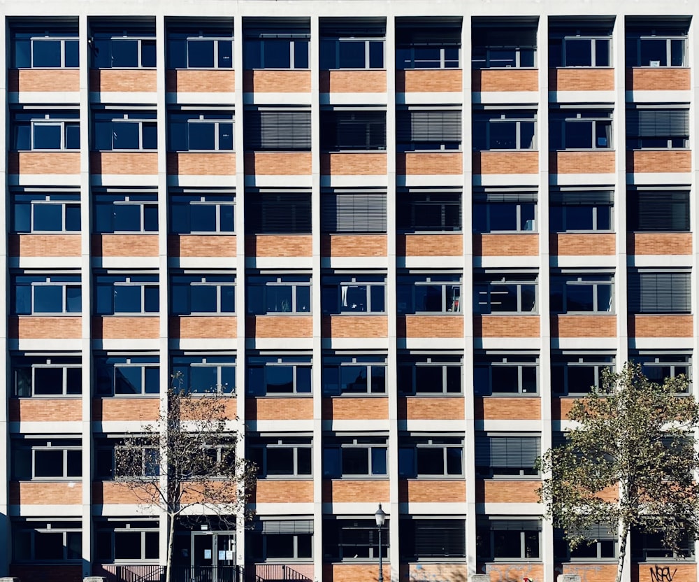 brown and white concrete building