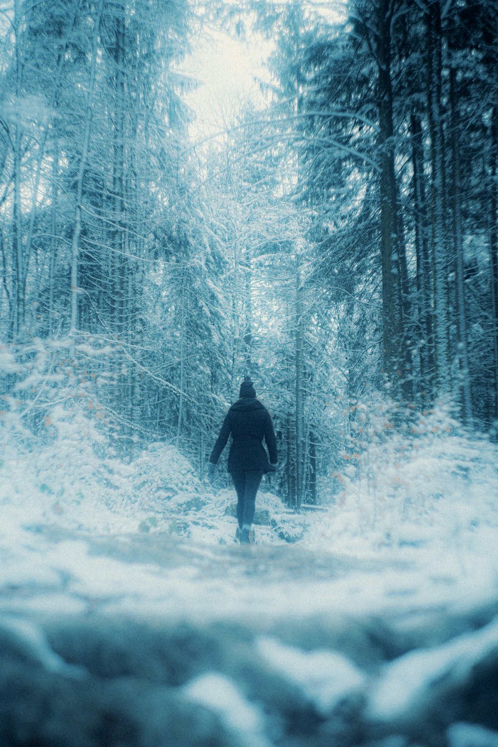 person in black jacket standing on snow covered ground surrounded by trees during daytime