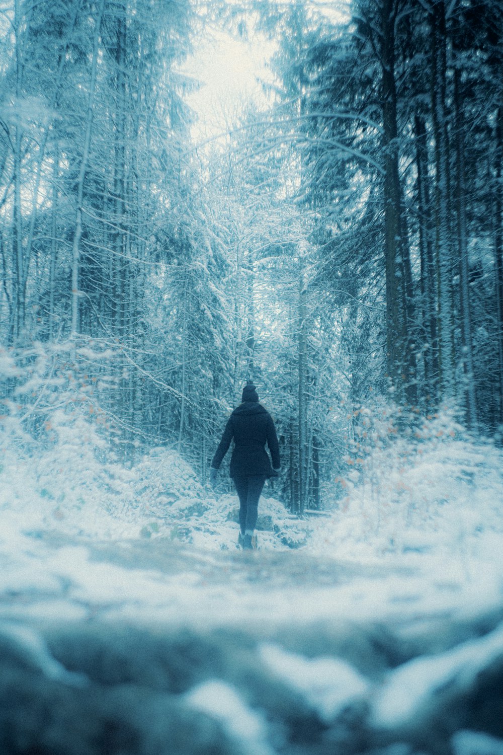 pessoa em jaqueta preta em pé no chão coberto de neve cercado por árvores durante o dia