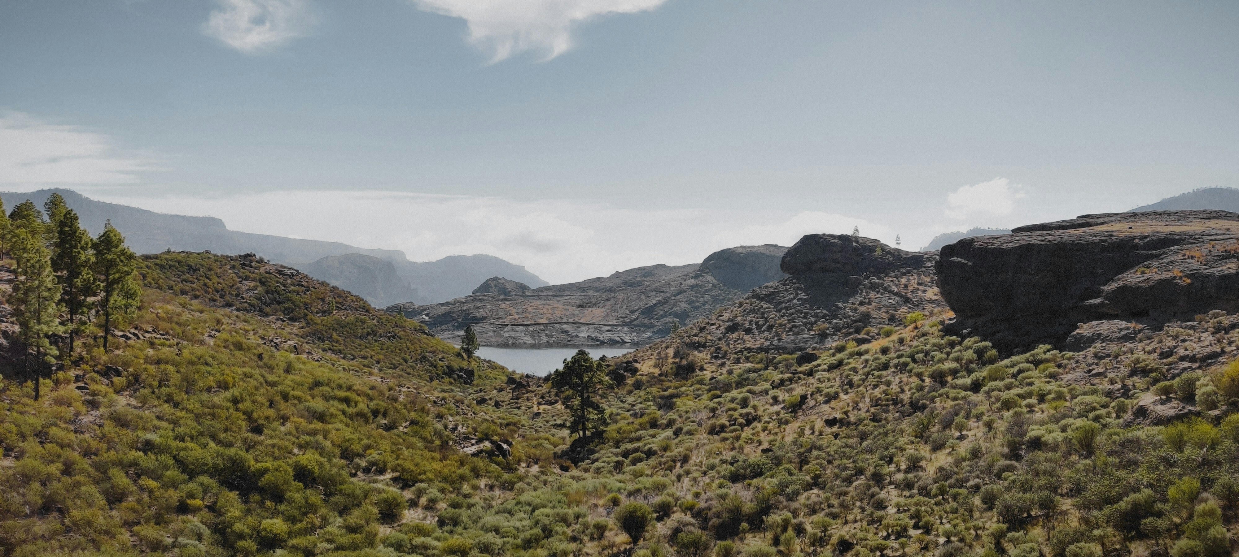 Photo by martyn_nguyen