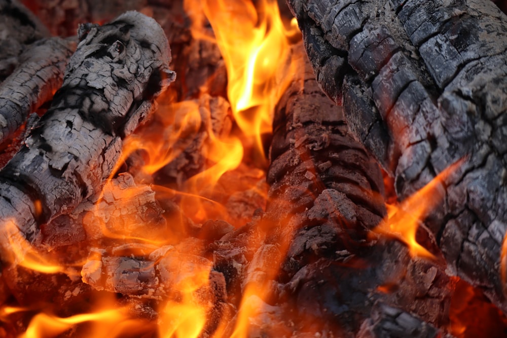 burning wood during night time