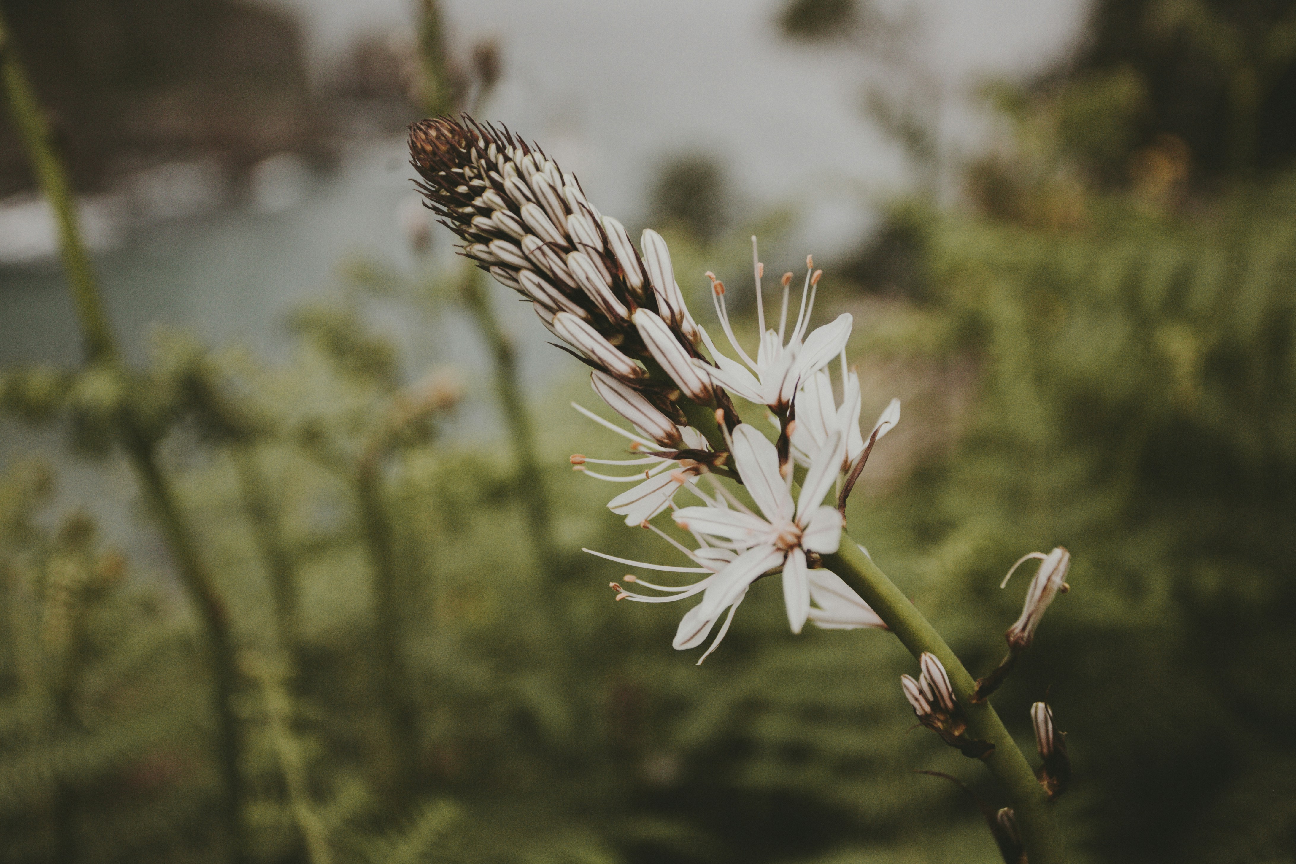 Photo by landedition