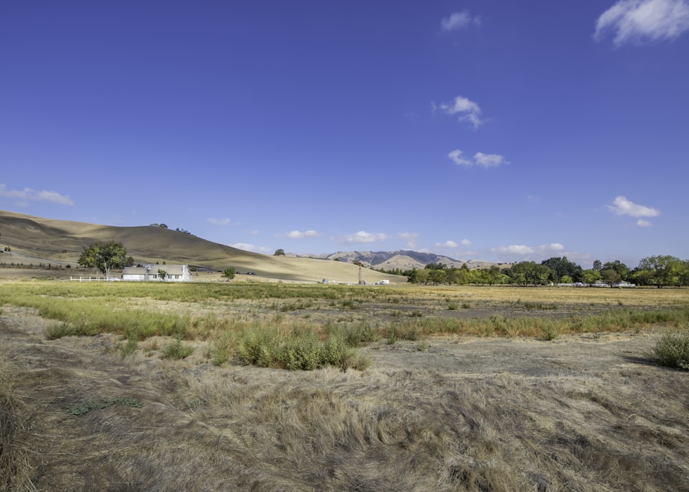 green grass field under blue sky during daytime