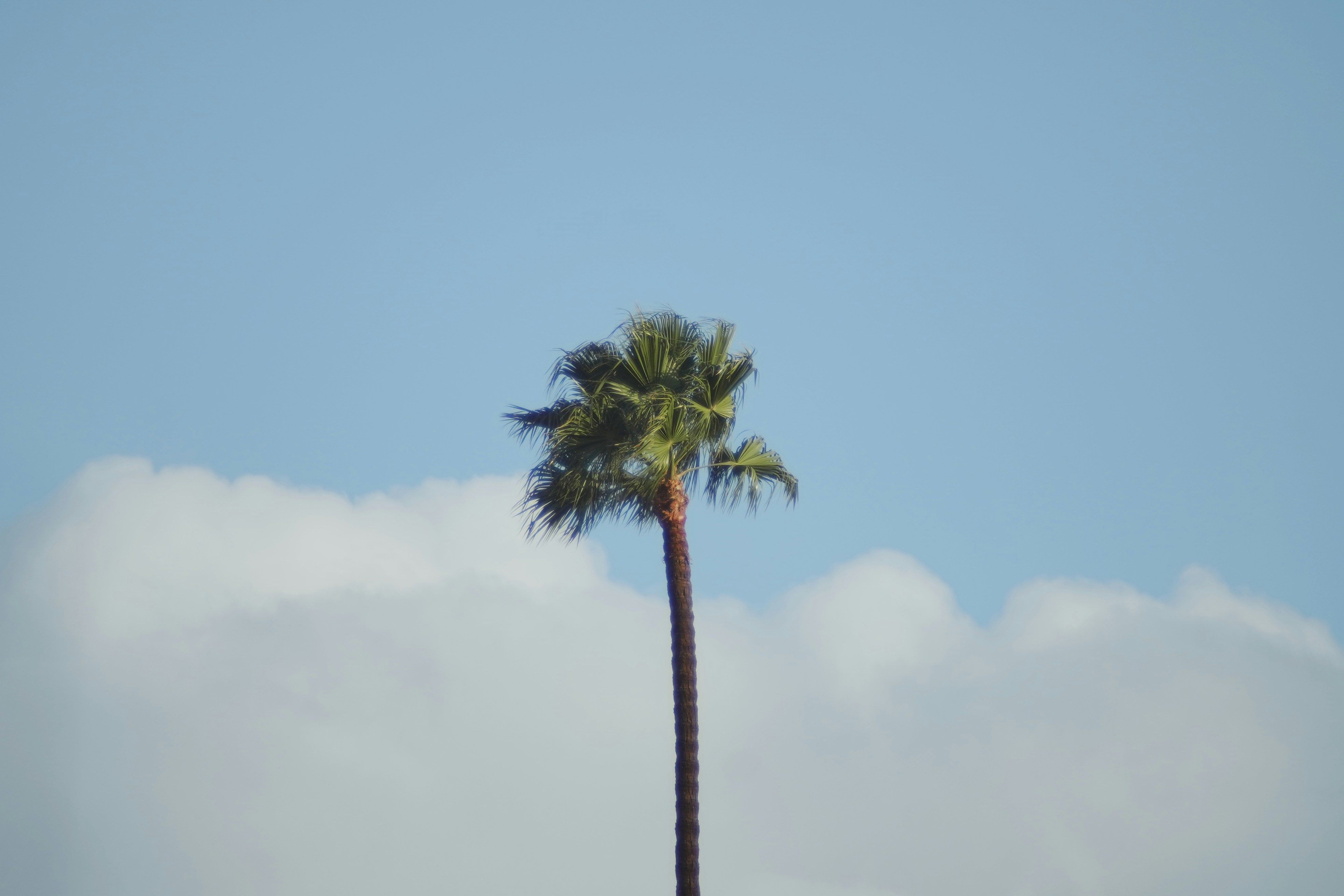 Photo by carterbaran