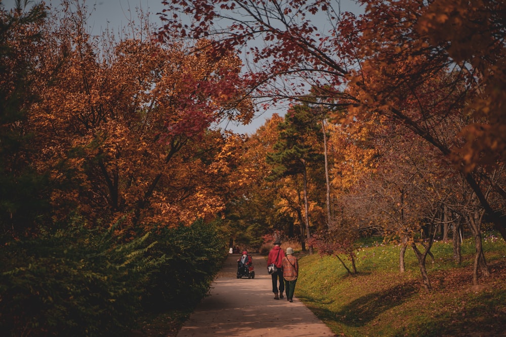 personnes marchant sur un sentier entre les arbres pendant la journée