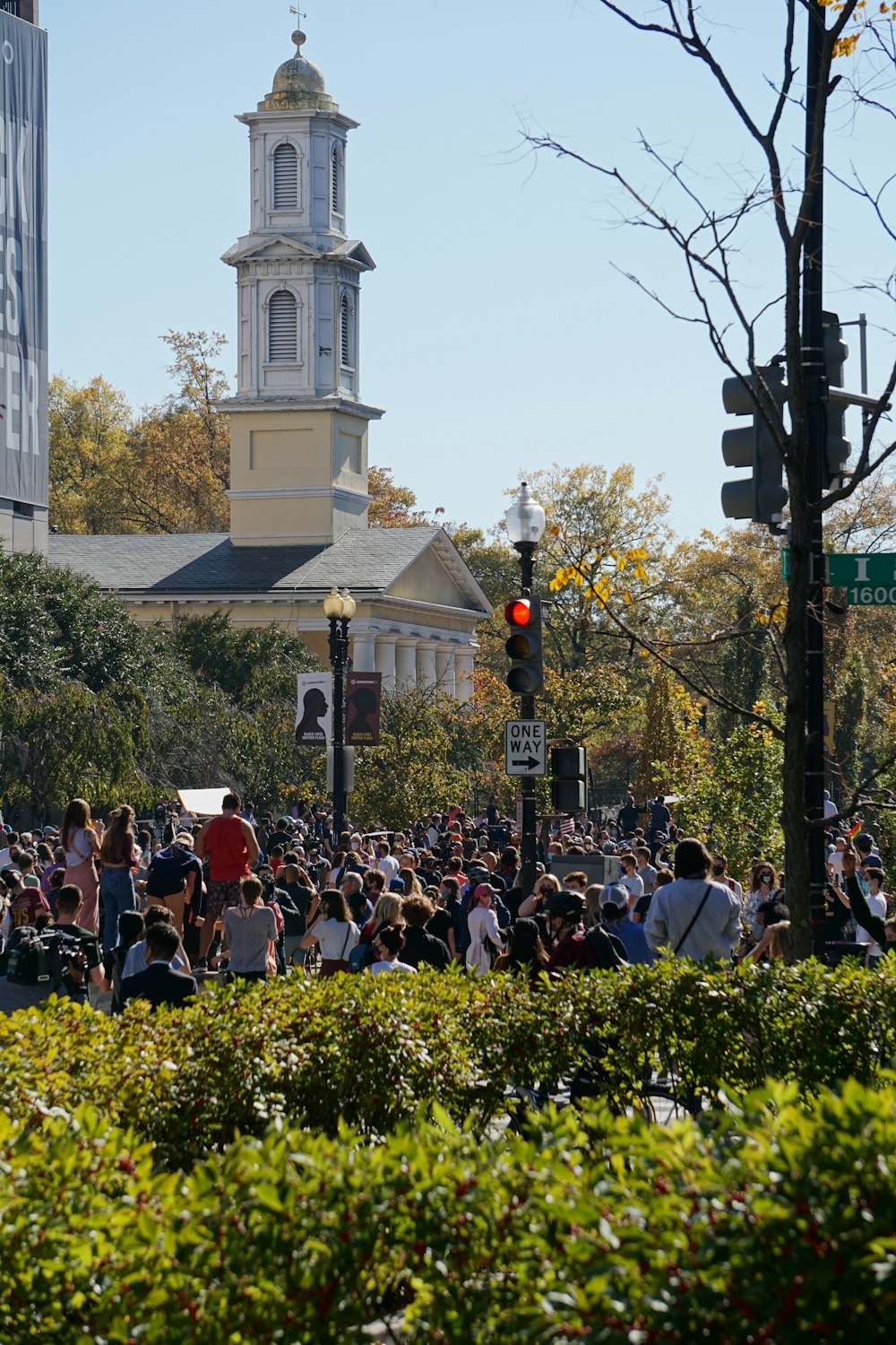 people standing near green trees during daytime