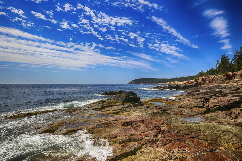 Campo de hierba verde cerca del mar bajo el cielo azul durante el día