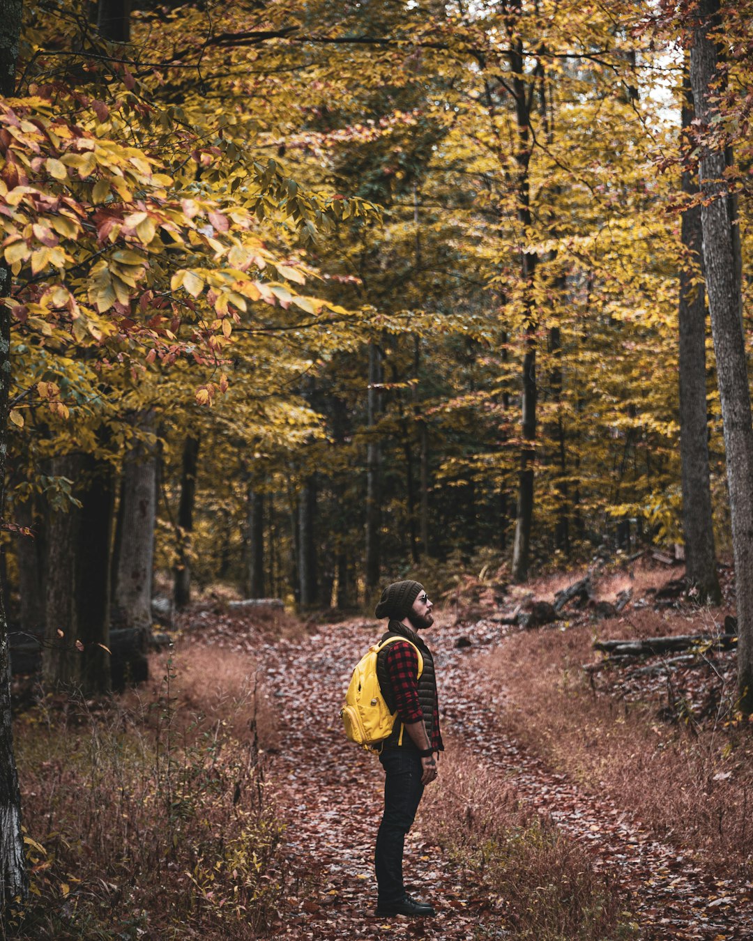 man in yellow jacket walking on forest during daytime