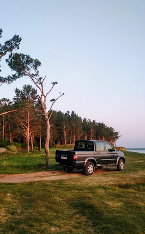 A rugged pickup truck parked beside a freshly mowed, sunlit lot bordered by tall pine trees under a clear blue sky.