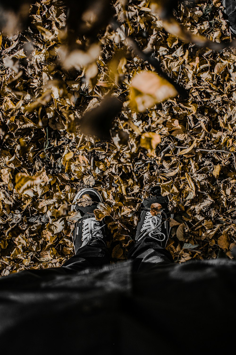 person in black pants and black and white sneakers standing on brown dried leaves during daytime