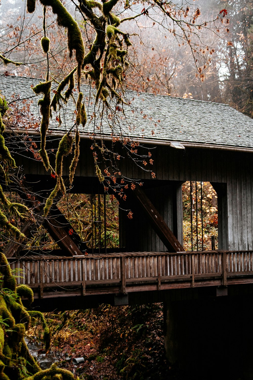 brown wooden house near trees during daytime