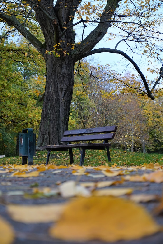 Nordpark, Walther Rathenau Straße, Magdeburg, Germany