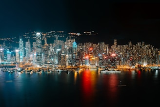 city skyline during night time