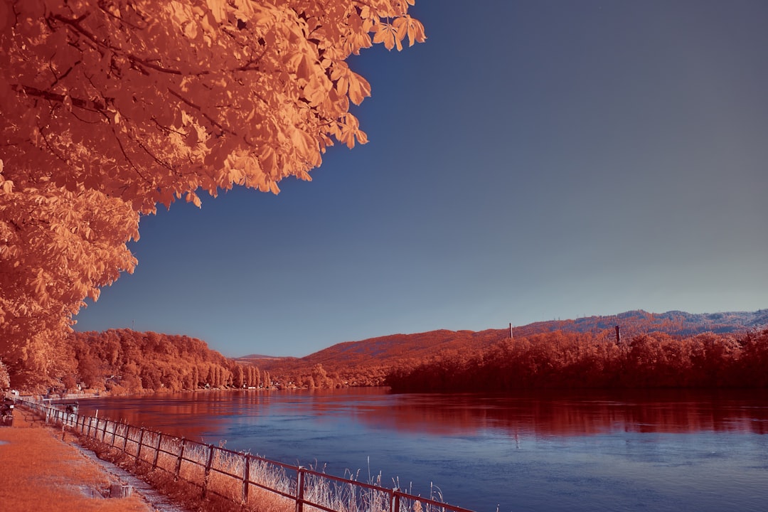 brown wooden dock on lake during daytime