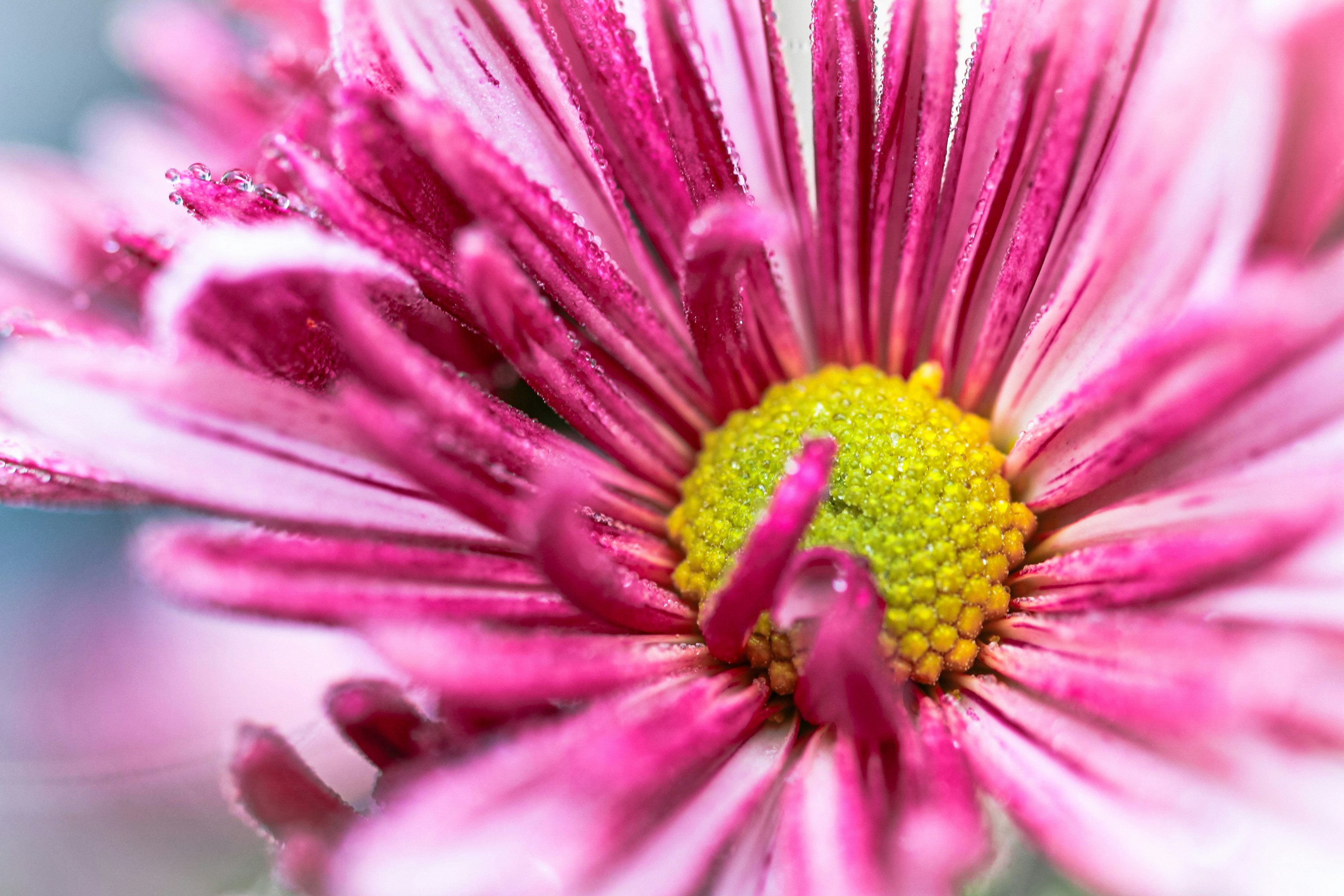 Photo by earthfulmoments