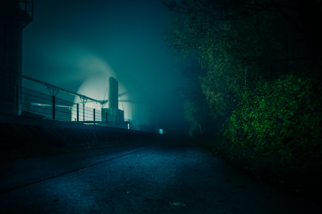 green trees near brown wooden dock during night time