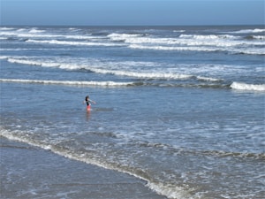 Sunny Waves Rash Vest