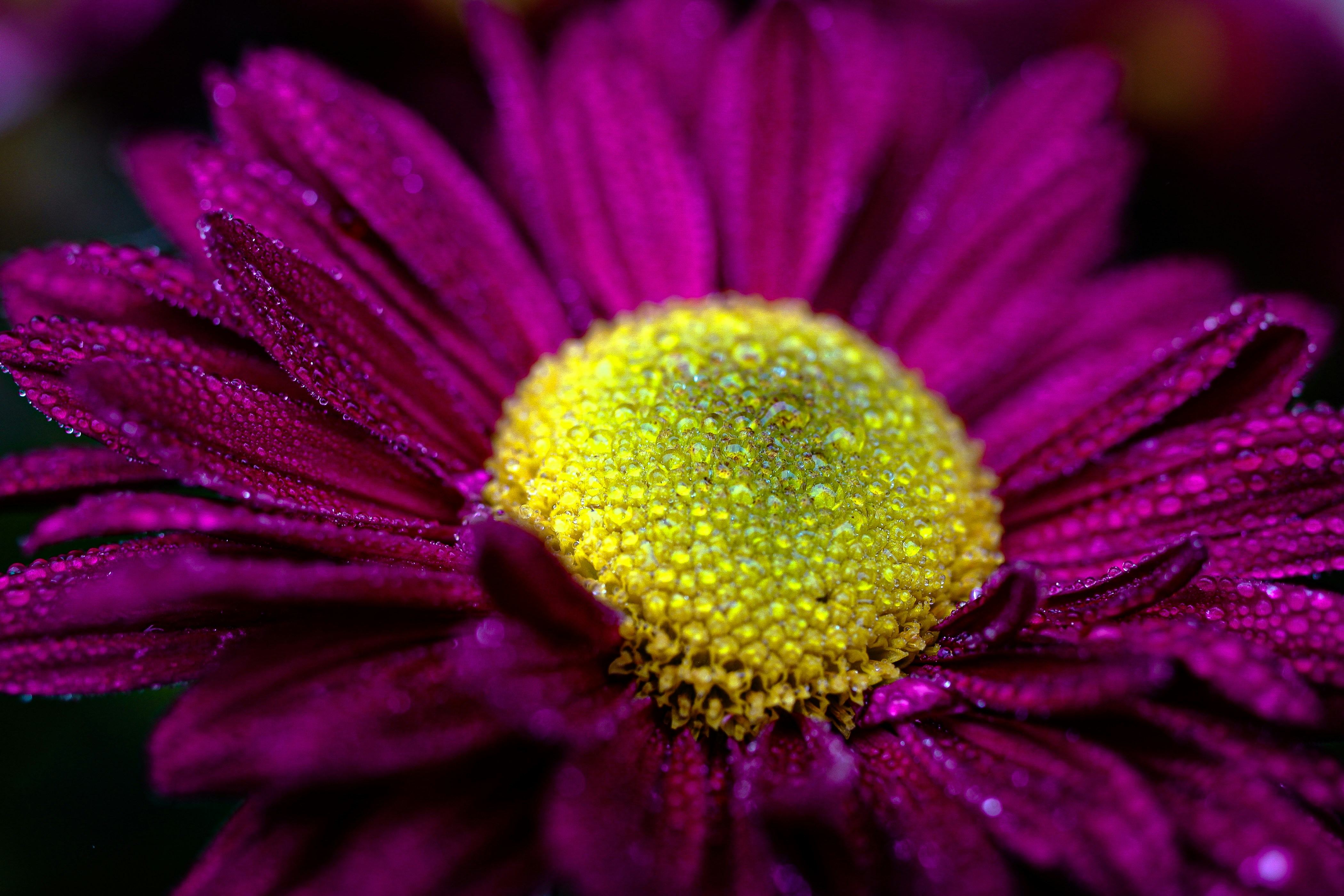 Photo by earthfulmoments