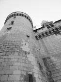 Close-up architectural details of a gothic castle wall in monochrome.