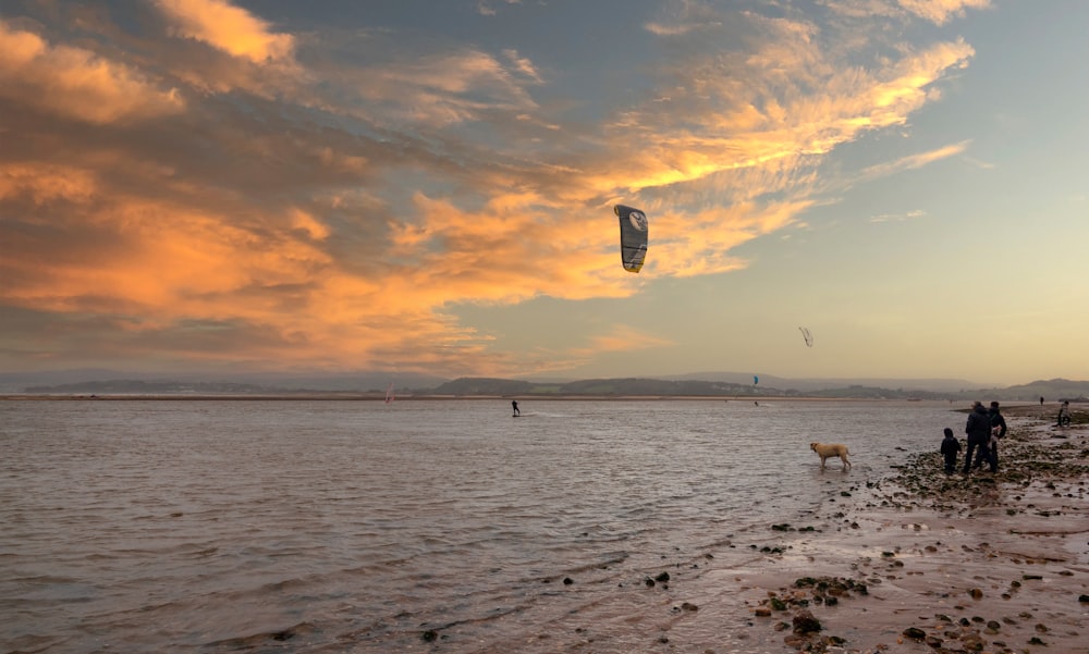 people on beach during sunset