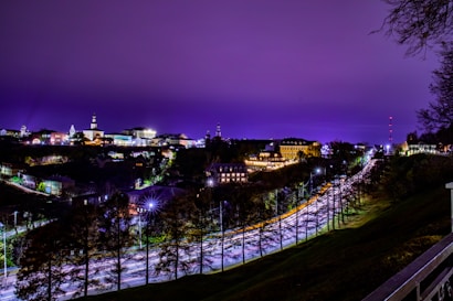 A nighttime cityscape features a vibrant collection of illuminated buildings set against a deep purple sky. A bustling street runs through the image, captured with light trails from passing vehicles, creating a dynamic sense of movement. The scene is bordered by rows of trees in silhouette.